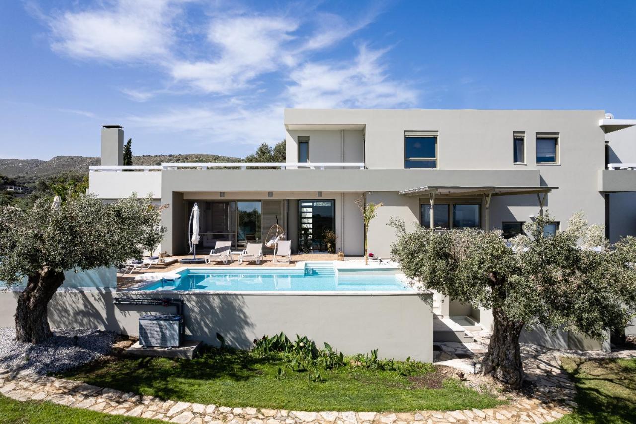 Rizes Villa With Jacuzzi & Heated Pool Agia Triada 외부 사진