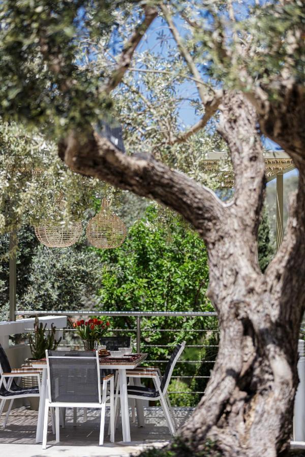 Rizes Villa With Jacuzzi & Heated Pool Agia Triada 외부 사진