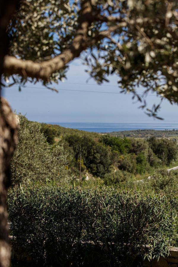 Rizes Villa With Jacuzzi & Heated Pool Agia Triada 외부 사진